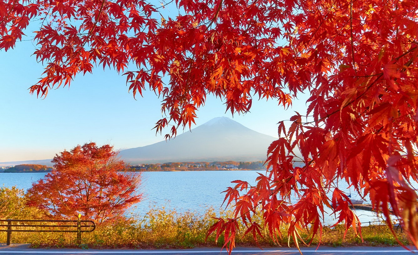 banner-image